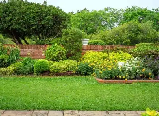 landscaping services Capitol Heights